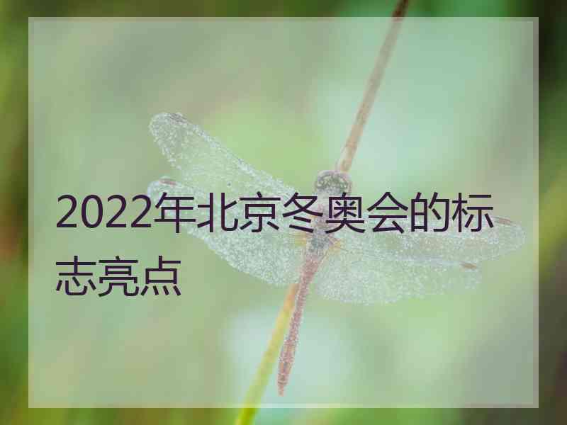 2022年北京冬奥会的标志亮点