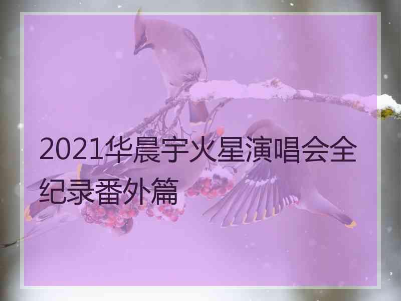 2021华晨宇火星演唱会全纪录番外篇