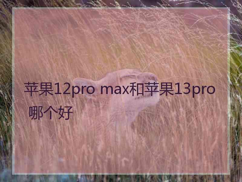 苹果12pro max和苹果13pro 哪个好