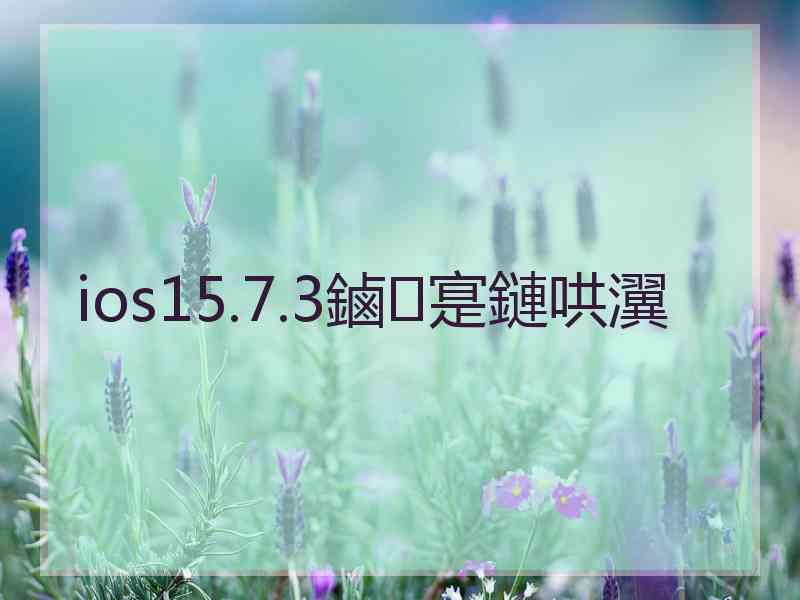 ios15.7.3鏀寔鏈哄瀷