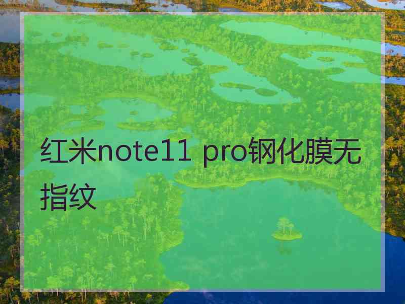 红米note11 pro钢化膜无指纹