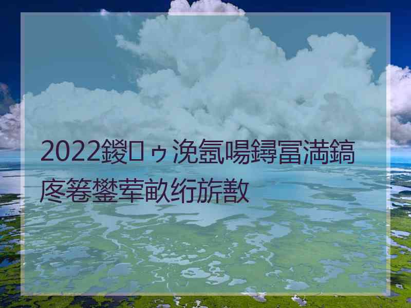 2022鍐ゥ浼氬啺鐞冨満鎬庝箞鐢荤畝绗旂敾