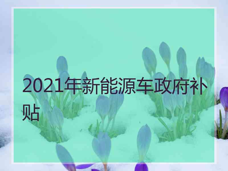 2021年新能源车政府补贴