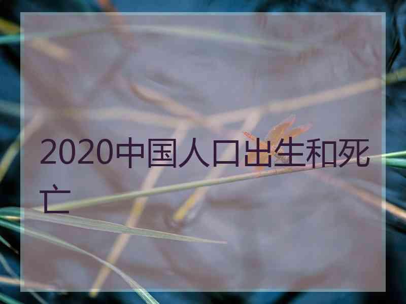 2020中国人口出生和死亡