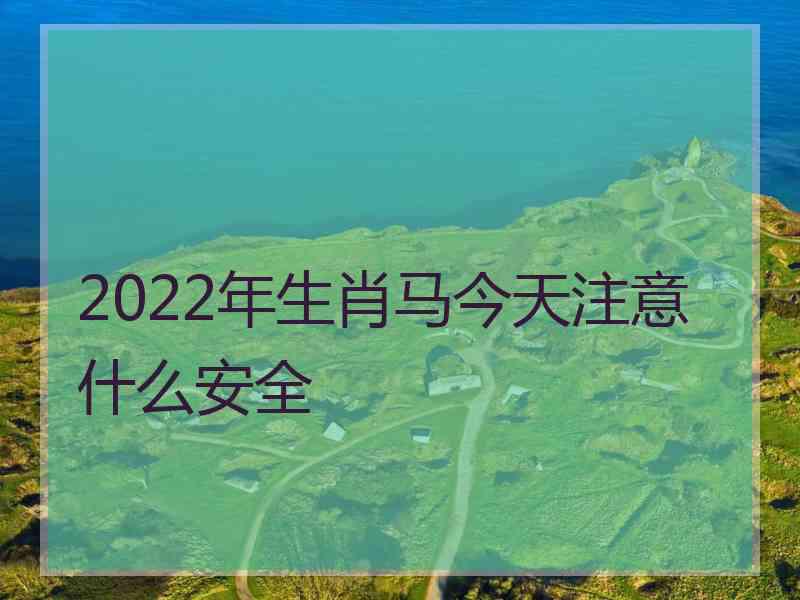 2022年生肖马今天注意什么安全