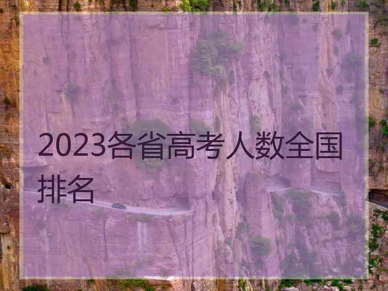 2023各省高考人数全国排名