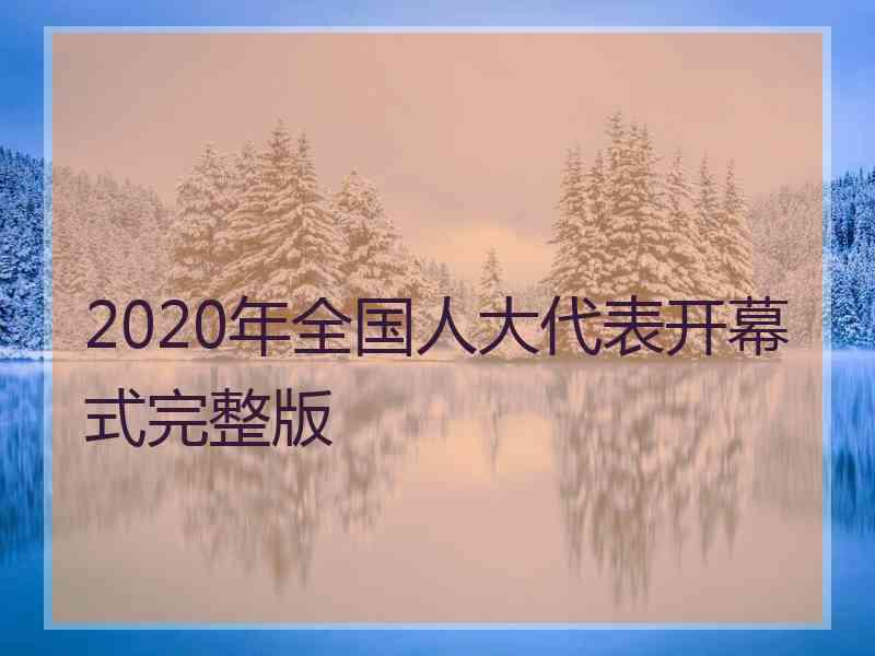 2020年全国人大代表开幕式完整版