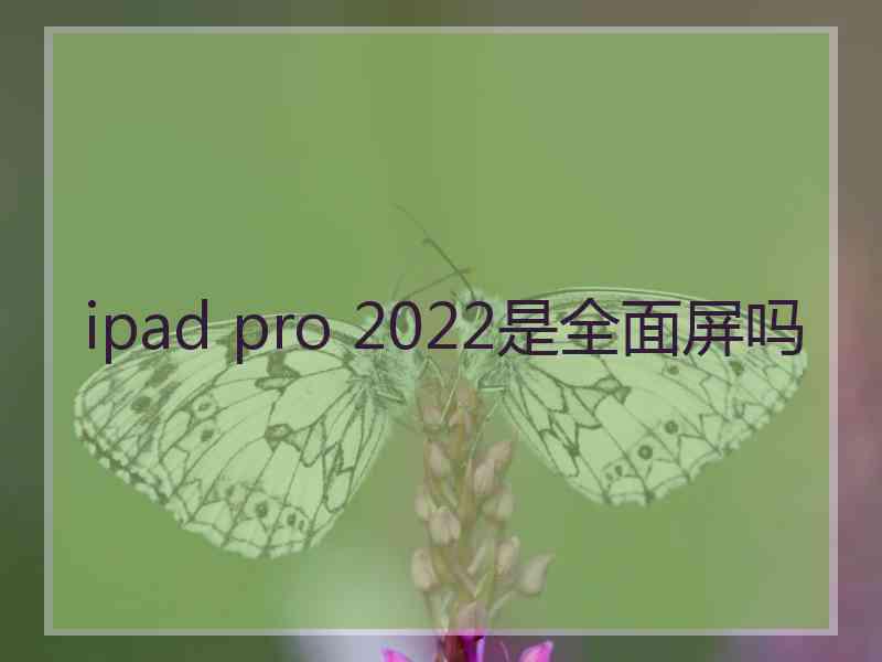 ipad pro 2022是全面屏吗