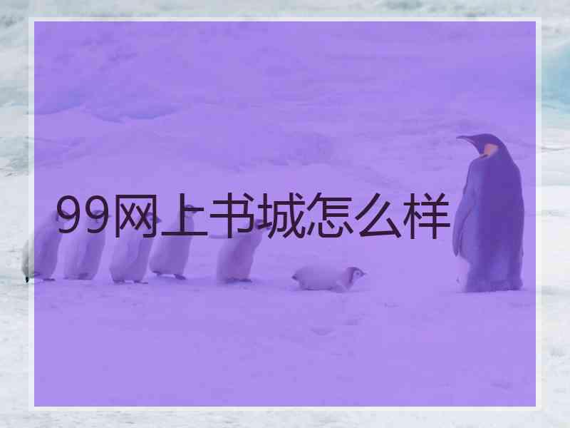 99网上书城怎么样