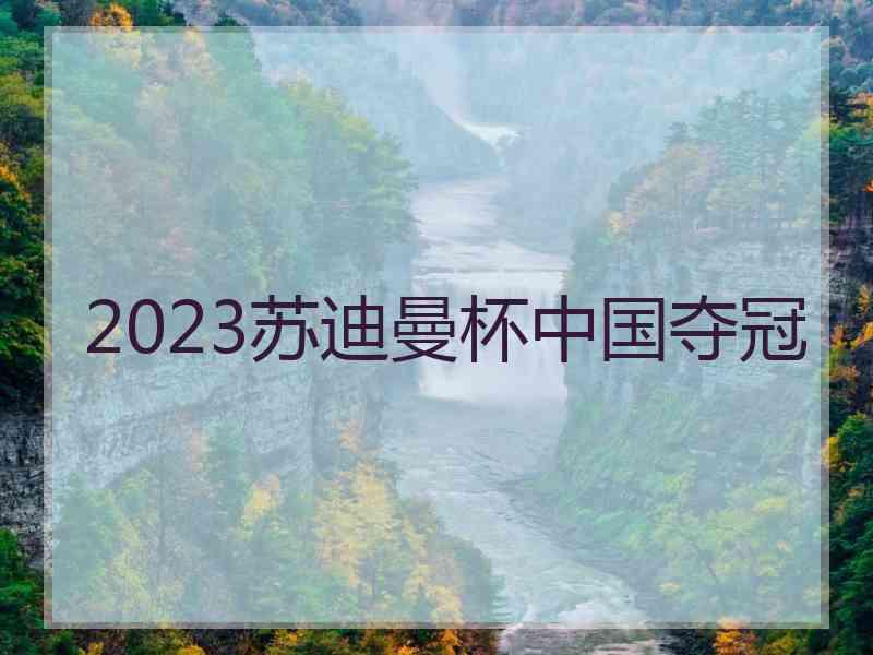 2023苏迪曼杯中国夺冠