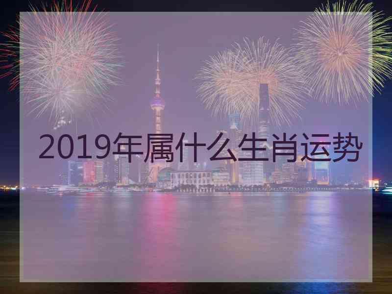 2019年属什么生肖运势