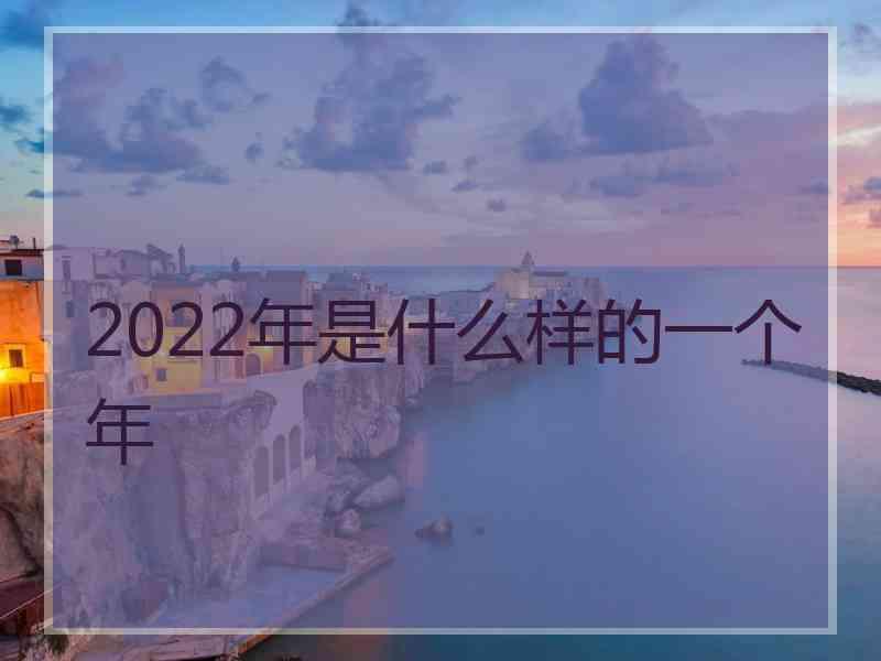 2022年是什么样的一个年