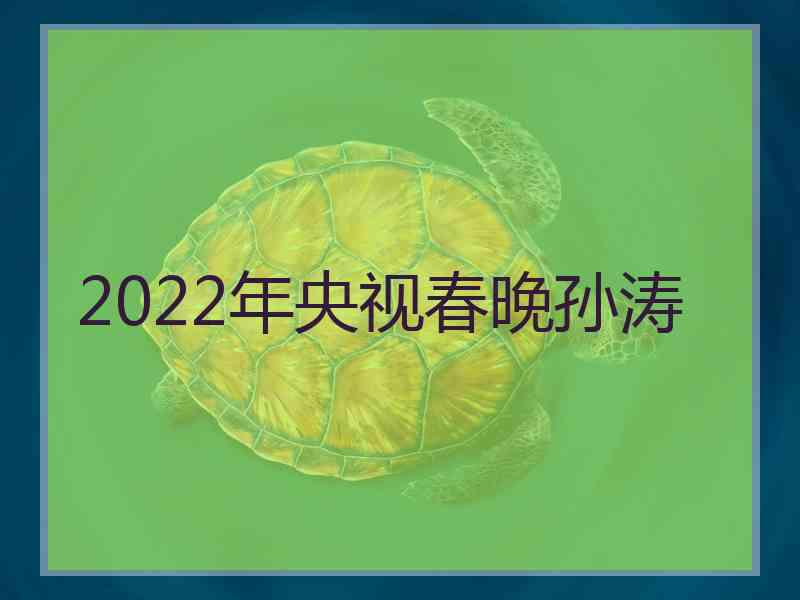 2022年央视春晚孙涛