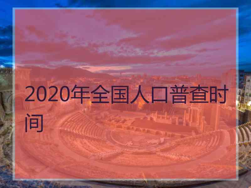 2020年全国人口普查时间