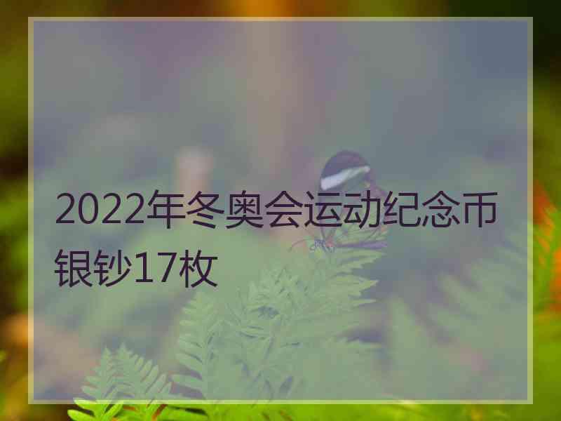 2022年冬奥会运动纪念币银钞17枚