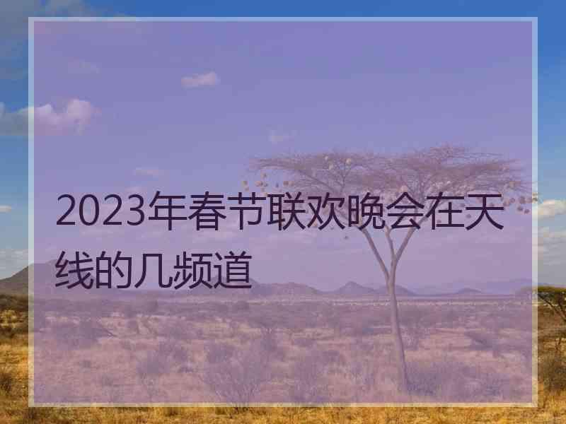 2023年春节联欢晚会在天线的几频道