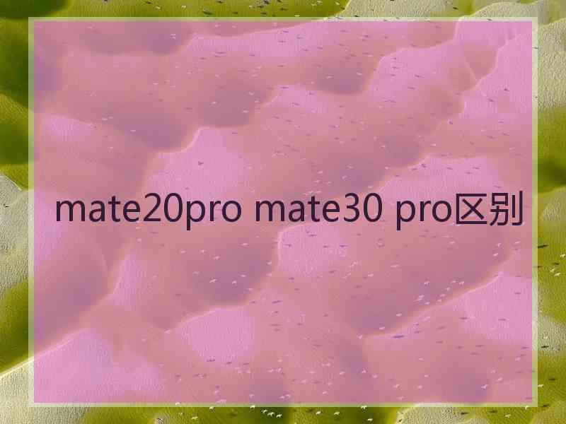 mate20pro mate30 pro区别