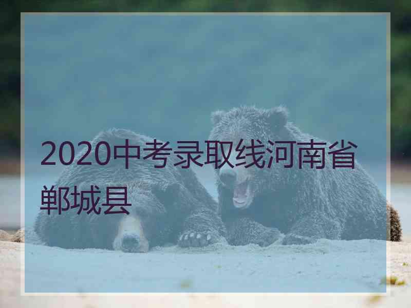 2020中考录取线河南省郸城县