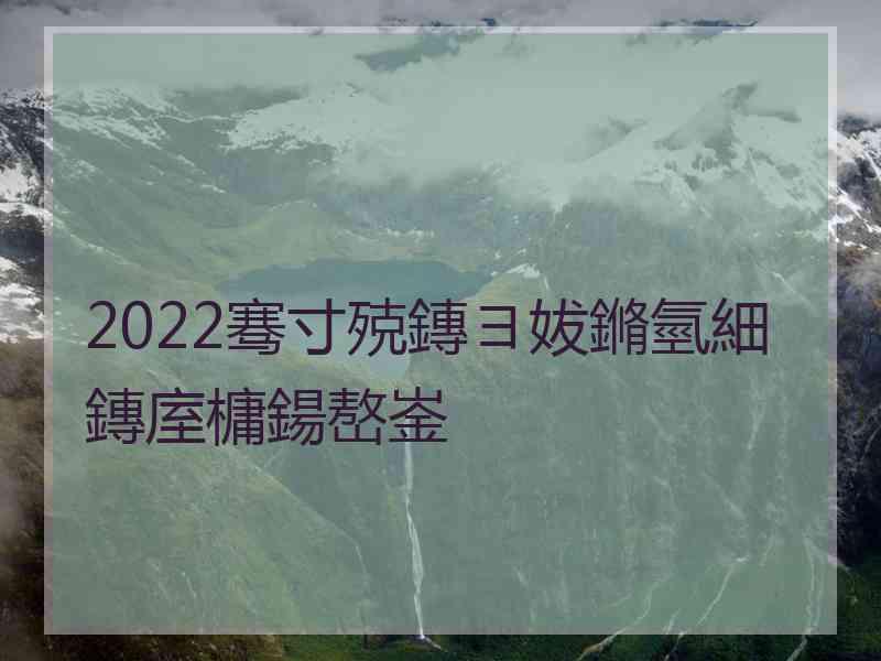 2022骞寸殑鏄ヨ妭鏅氫細鏄庢槦鍚嶅崟