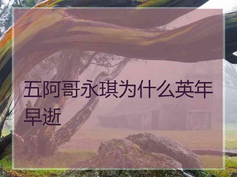 五阿哥永琪为什么英年早逝