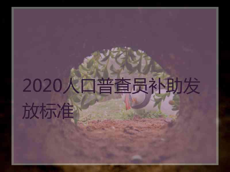 2020人口普查员补助发放标准