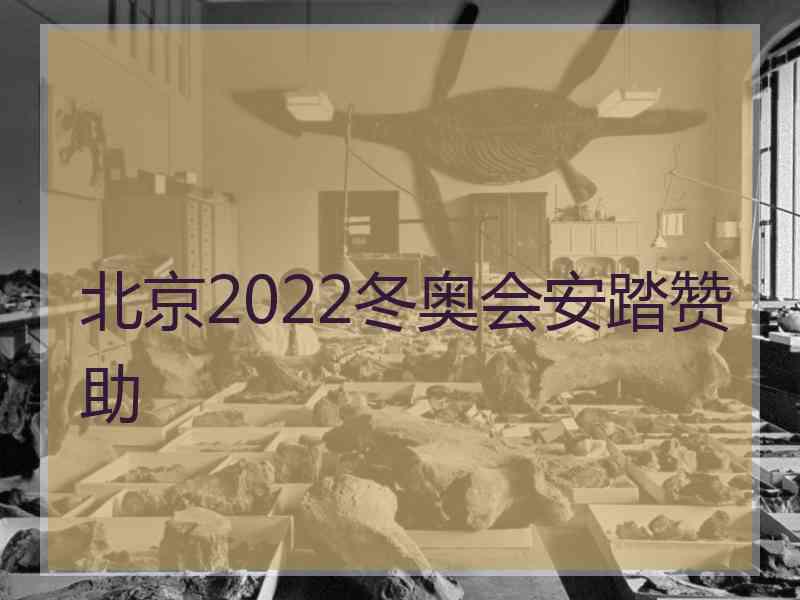 北京2022冬奥会安踏赞助