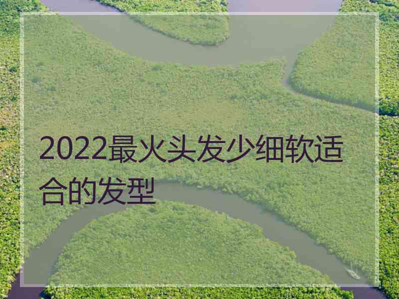 2022最火头发少细软适合的发型