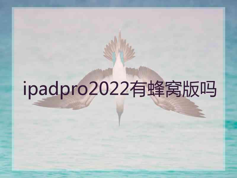 ipadpro2022有蜂窝版吗