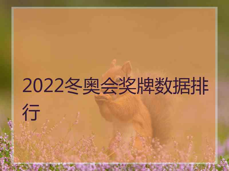 2022冬奥会奖牌数据排行