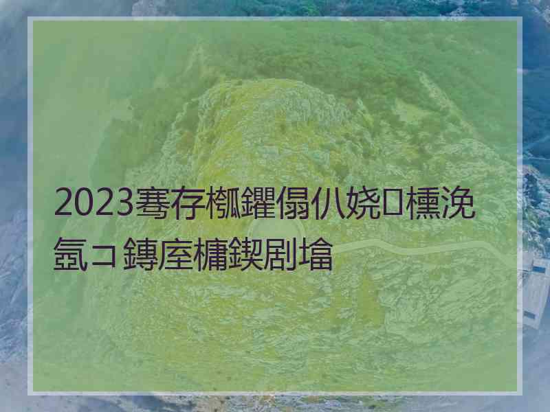 2023骞存槬鑺傝仈娆㈡櫄浼氬コ鏄庢槦鍥剧墖