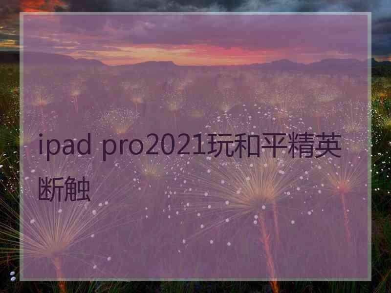 ipad pro2021玩和平精英断触