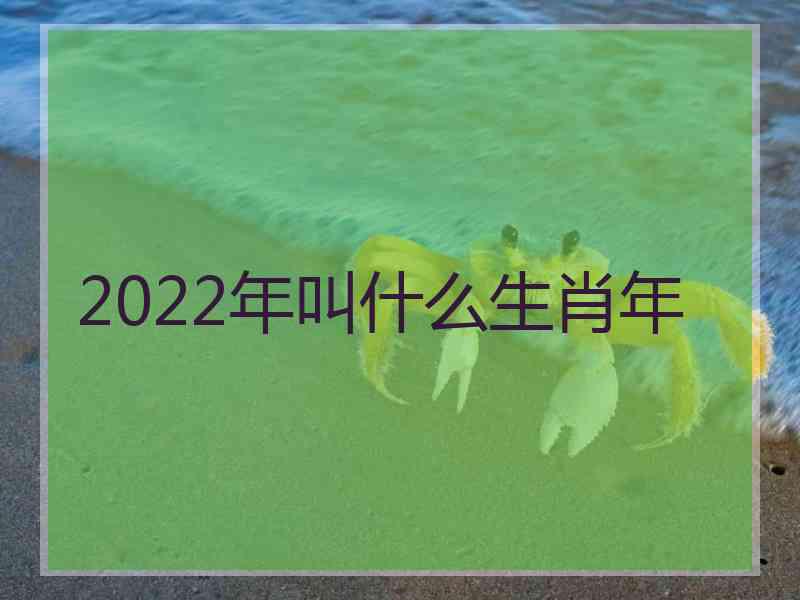 2022年叫什么生肖年