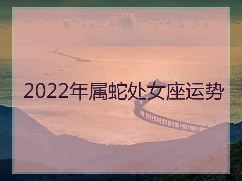 2022年属蛇处女座运势