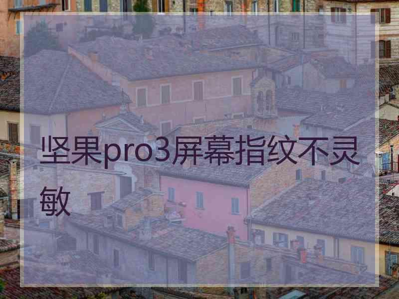 坚果pro3屏幕指纹不灵敏