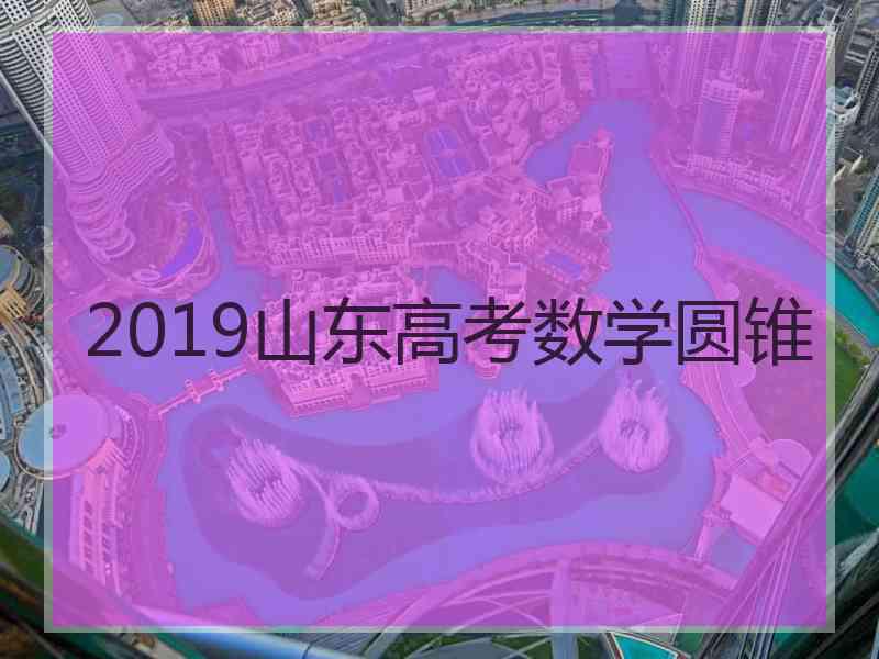 2019山东高考数学圆锥