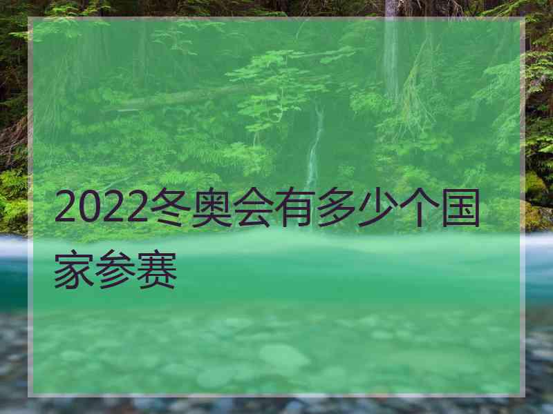 2022冬奥会有多少个国家参赛