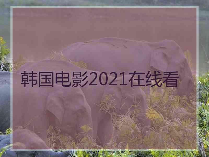 韩国电影2021在线看