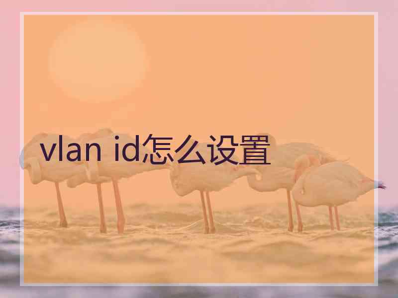 vlan id怎么设置