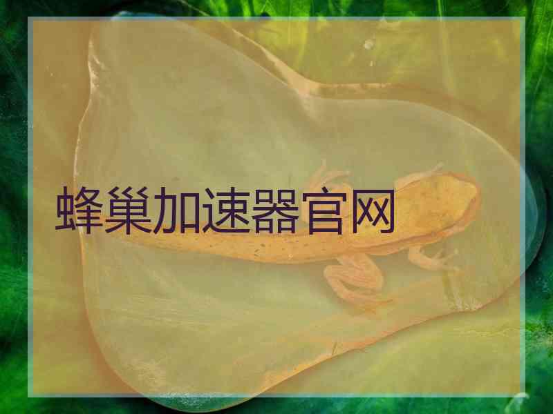 蜂巢加速器官网