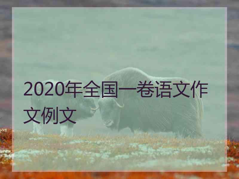 2020年全国一卷语文作文例文