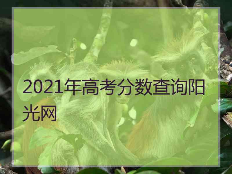 2021年高考分数查询阳光网