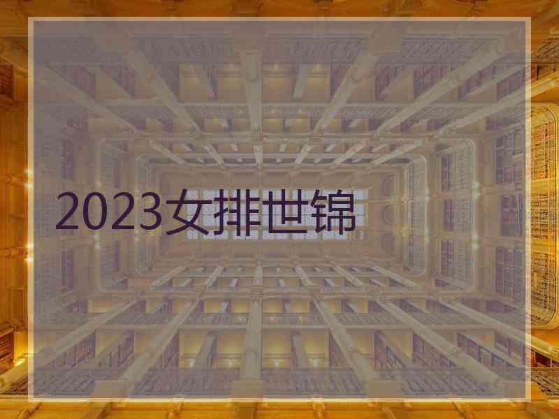 2023女排世锦