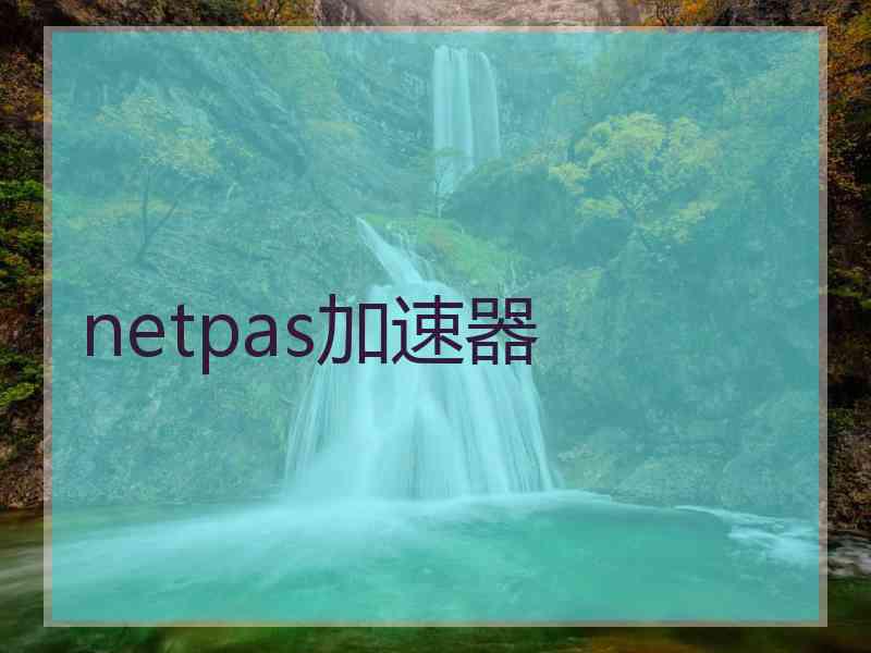 netpas加速器