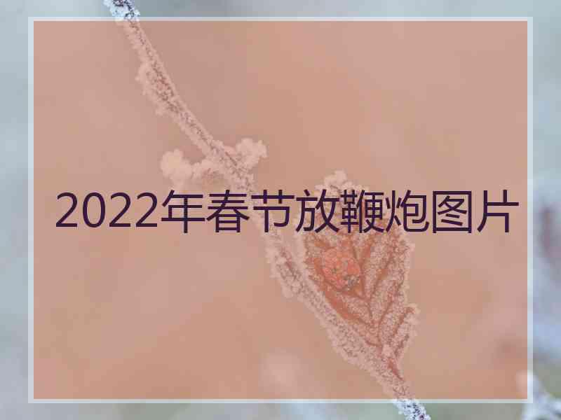 2022年春节放鞭炮图片