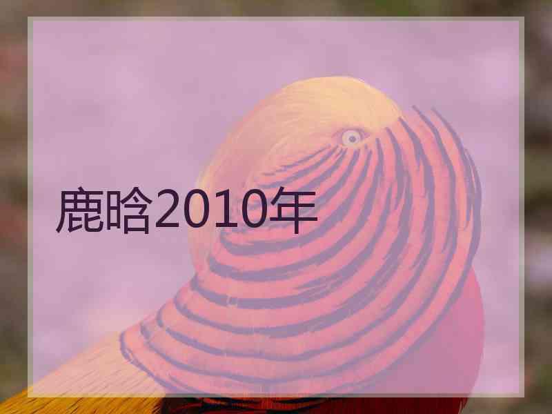 鹿晗2010年