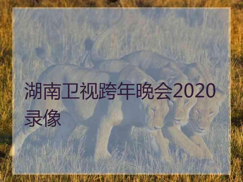 湖南卫视跨年晚会2020录像