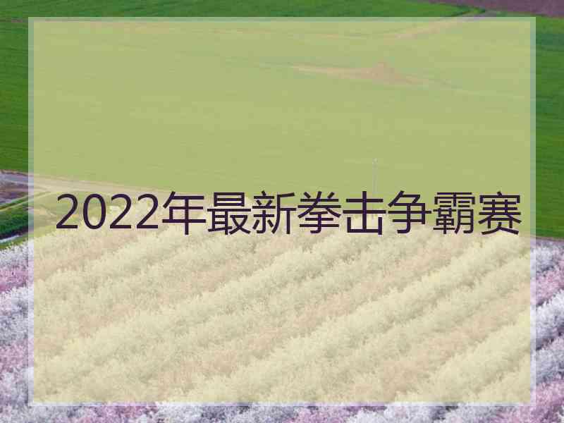 2022年最新拳击争霸赛