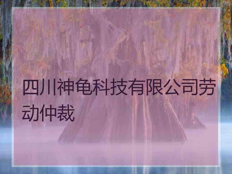 四川神龟科技有限公司劳动仲裁