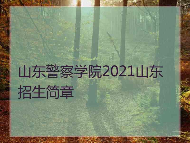 山东警察学院2021山东招生简章