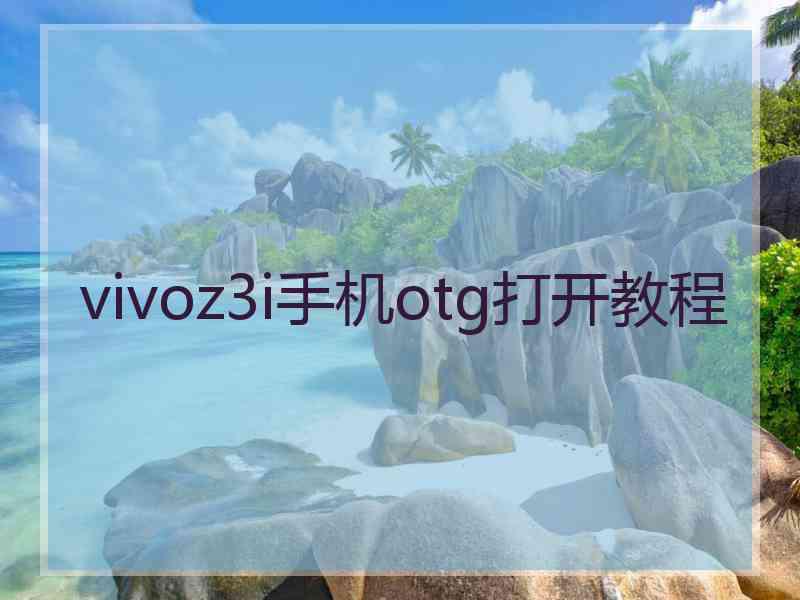 vivoz3i手机otg打开教程